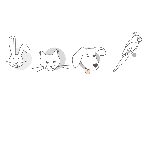 tierarzt_illustration_lwplus